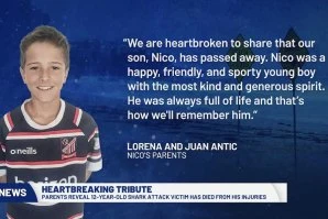 Faleceu Nico Antic, criança de 12 anos não resistiu aos ferimentos após ataque de tubarão