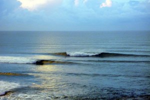 SURFISTA ATACADO POR TUBARÃO EM BALI