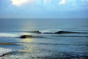 SURFISTA ATACADO POR TUBARÃO EM BALI