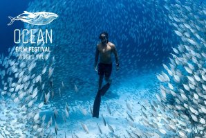 Começa amanhã a edição virtual do Ocean Film Festival World Tour