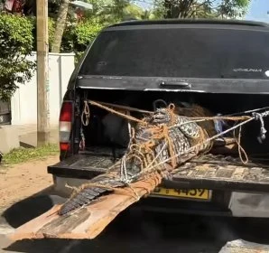 Imagem composta com frames do vídeo da autoria de Jacob Mellish