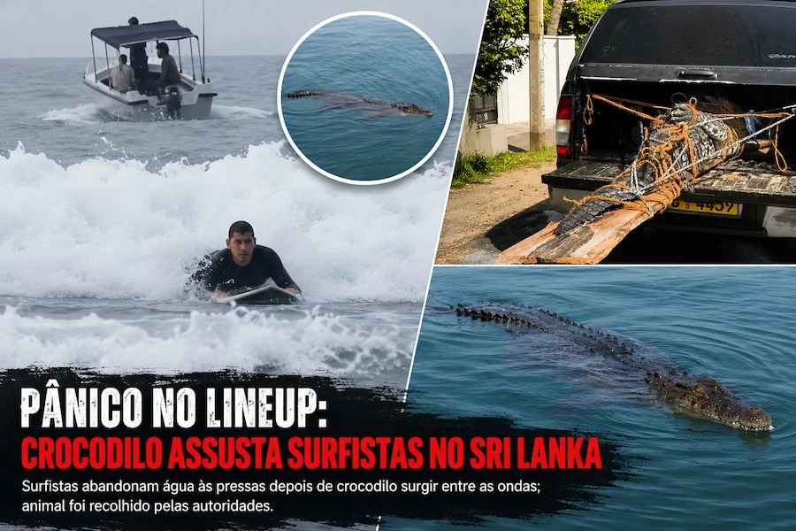 Imagem composta com frames do vídeo da autoria de Jacob Mellish
