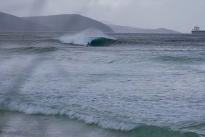 Albany surf reef (ABC News: Daniel Mercer)
