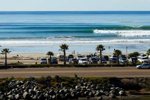 Aumento da atividade de tubarões deixa californianos de sobreaviso.