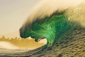 UM DIA EM GRANDE EM PIPELINE