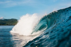 &quot;GREEN MONKEY&quot; - MASON HO EM TOM DE &quot;SUPER HERO&quot;