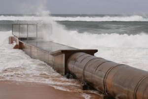 Foto: Daily Telegraph