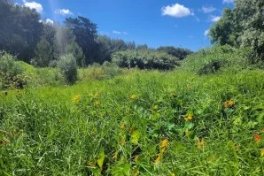 Novo movimento cívico trava destruição da Quinta dos Ingleses, em Cascais