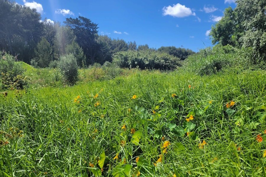 Novo movimento cívico trava destruição da Quinta dos Ingleses, em Cascais