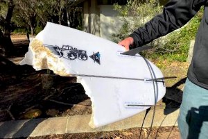 O estado da prancha do jovem surfista após o ataque