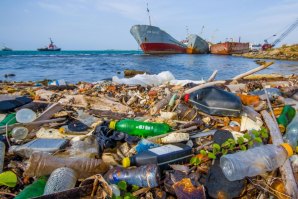 Hoje é o Dia Mundial da Terra - como podemos celebrar?