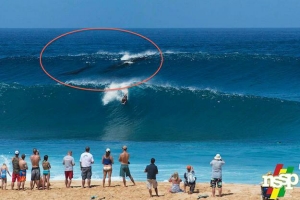 BALEIAS A APANHAR ONDAS EM PIPELINE!