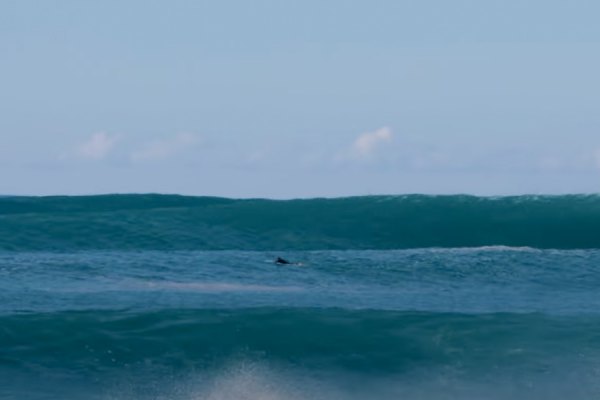 Surf nas famosas direitas da Ilha da Madeira - "E tu atiravas-te?"