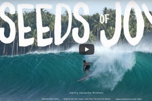 &quot;Seeds of Joy&quot; - Paz e alegria nos tubos perfeitos de Nias