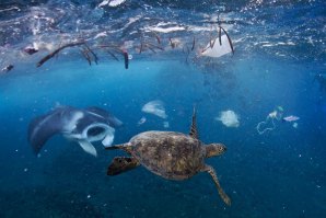 The Swim: A história da Ilha de Lixo do Pacífico