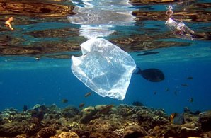 O plástico nos oceanos é um problema gravíssimo